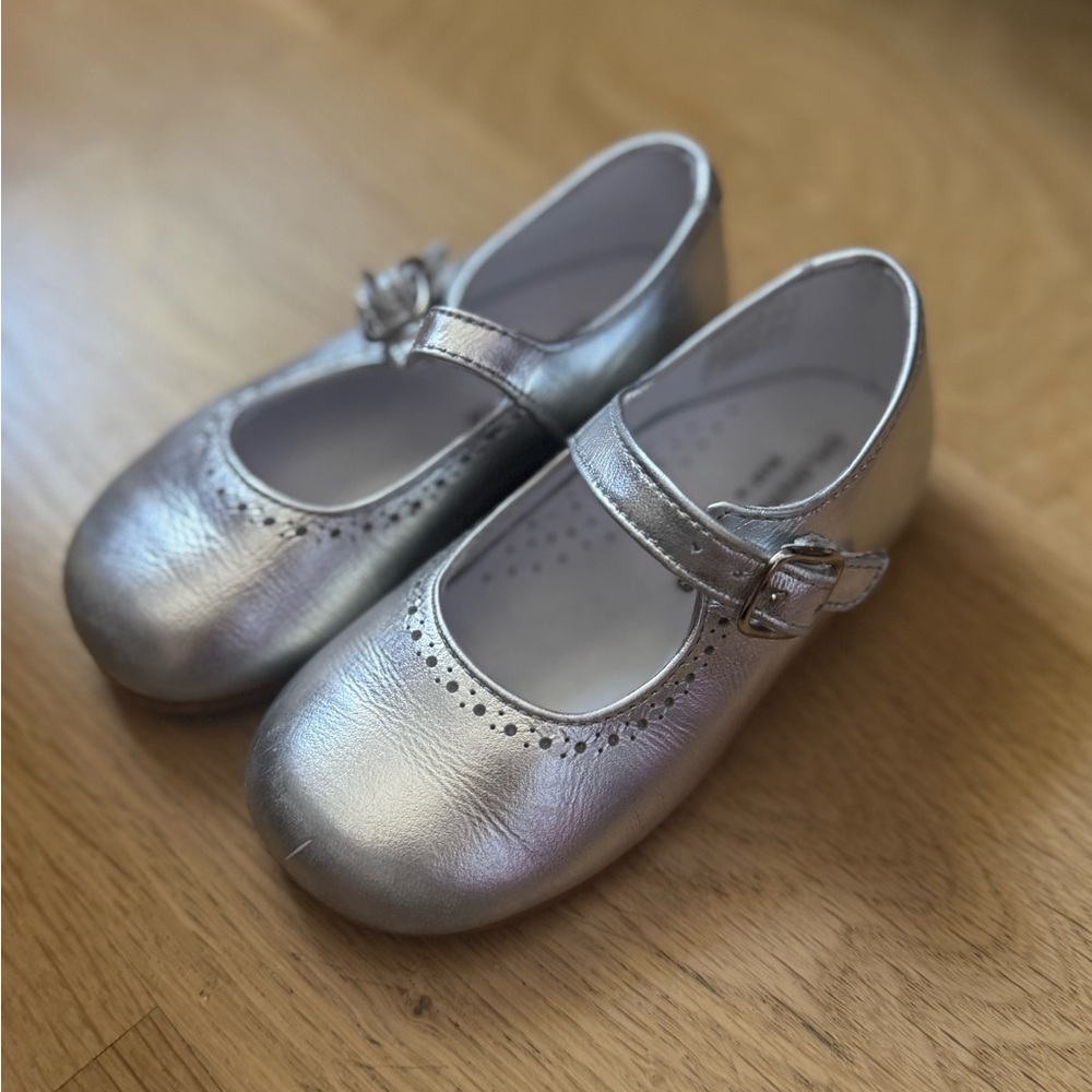 Silver Dress Shoes